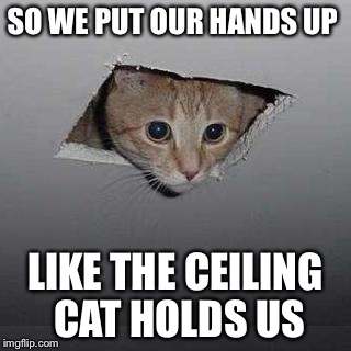 Ceiling Cat Meme Imgflip