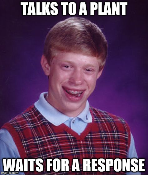 Bad Luck Brian Meme | TALKS TO A PLANT WAITS FOR A RESPONSE | image tagged in memes,bad luck brian | made w/ Imgflip meme maker
