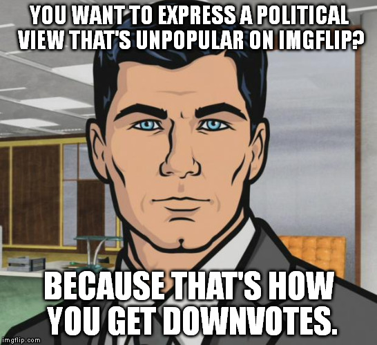Archer | YOU WANT TO EXPRESS A POLITICAL VIEW THAT'S UNPOPULAR ON IMGFLIP? BECAUSE THAT'S HOW YOU GET DOWNVOTES. | image tagged in memes,archer | made w/ Imgflip meme maker
