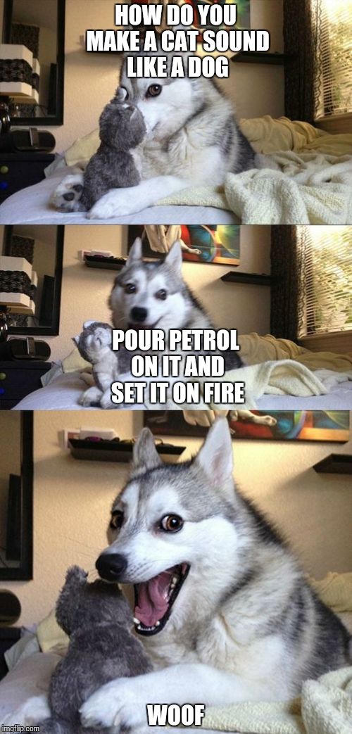 Bad Joke Dog | HOW DO YOU MAKE A CAT SOUND LIKE A DOG WOOF POUR PETROL ON IT AND SET IT ON FIRE | image tagged in bad joke dog | made w/ Imgflip meme maker