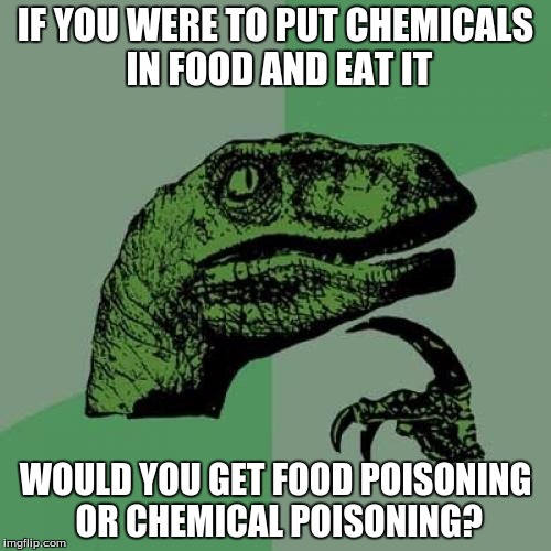 Philosoraptor | IF YOU WERE TO PUT CHEMICALS IN FOOD AND EAT IT WOULD YOU GET FOOD POISONING OR CHEMICAL POISONING? | image tagged in memes,philosoraptor | made w/ Imgflip meme maker