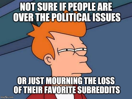 No talk of rainbows or flags all day.  | NOT SURE IF PEOPLE ARE OVER THE POLITICAL ISSUES OR JUST MOURNING THE LOSS OF THEIR FAVORITE SUBREDDITS | image tagged in memes,futurama fry | made w/ Imgflip meme maker