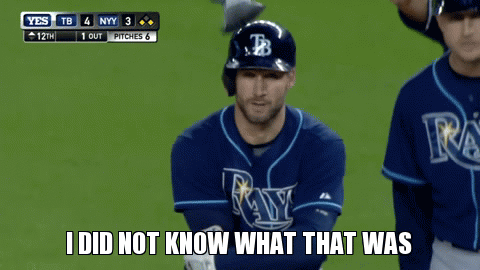 Kevin Kiermaier scared by pigeon