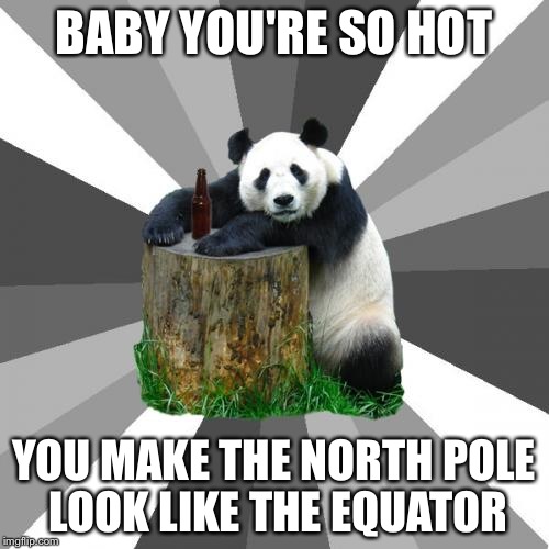 Pickup Line Panda Meme | BABY YOU'RE SO HOT YOU MAKE THE NORTH POLE LOOK LIKE THE EQUATOR | image tagged in memes,pickup line panda | made w/ Imgflip meme maker