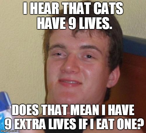 10 Guy | I HEAR THAT CATS HAVE 9 LIVES. DOES THAT MEAN I HAVE 9 EXTRA LIVES IF I EAT ONE? | image tagged in memes,10 guy | made w/ Imgflip meme maker