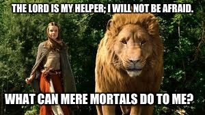 so aslan we meet at last i want your narnia memes - Contemplative