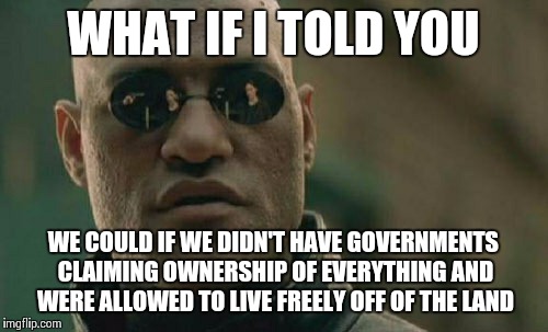 Matrix Morpheus Meme | WHAT IF I TOLD YOU WE COULD IF WE DIDN'T HAVE GOVERNMENTS CLAIMING OWNERSHIP OF EVERYTHING AND WERE ALLOWED TO LIVE FREELY OFF OF THE LAND | image tagged in memes,matrix morpheus | made w/ Imgflip meme maker
