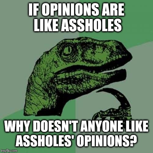 Philosoraptor Meme | IF OPINIONS ARE LIKE ASSHOLES WHY DOESN'T ANYONE LIKE ASSHOLES' OPINIONS? | image tagged in memes,philosoraptor | made w/ Imgflip meme maker