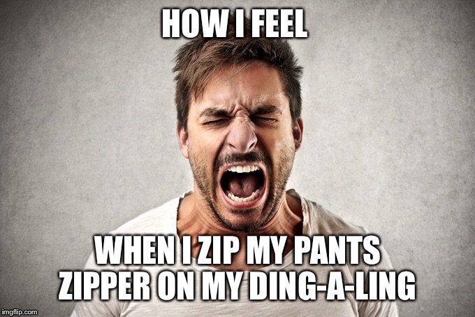HOW I FEEL WHEN I ZIP MY PANTS ZIPPER ON MY DING-A-LING | image tagged in funny | made w/ Imgflip meme maker