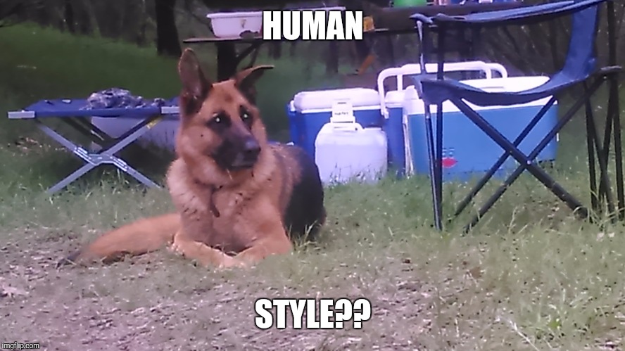 Doggie style | HUMAN STYLE?? | image tagged in german shepherd,doggie | made w/ Imgflip meme maker