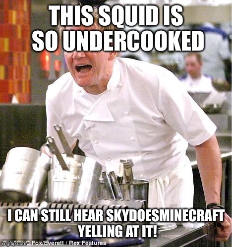 Chef Gordon Ramsay Meme | THIS SQUID IS SO UNDERCOOKED I CAN STILL HEAR SKYDOESMINECRAFT YELLING AT IT! | image tagged in memes,chef gordon ramsay | made w/ Imgflip meme maker