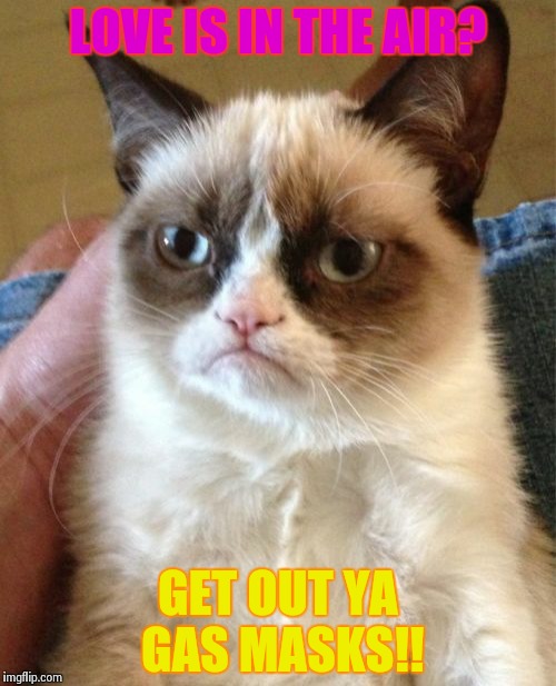 Grumpy Cat | LOVE IS IN THE AIR? GET OUT YA GAS MASKS!! | image tagged in memes,grumpy cat | made w/ Imgflip meme maker