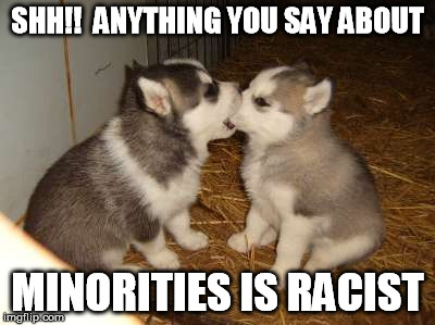 Cute Puppies Meme | SHH!!  ANYTHING YOU SAY ABOUT MINORITIES IS RACIST | image tagged in memes,cute puppies | made w/ Imgflip meme maker