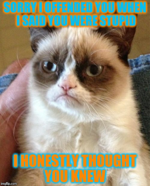 Grumpy Cat | SORRY I OFFENDED YOU WHEN I SAID YOU WERE STUPID I HONESTLY THOUGHT YOU KNEW | image tagged in memes,grumpy cat | made w/ Imgflip meme maker