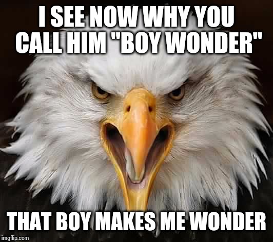 I SEE NOW WHY YOU CALL HIM "BOY WONDER" THAT BOY MAKES ME WONDER | image tagged in angry eagle | made w/ Imgflip meme maker