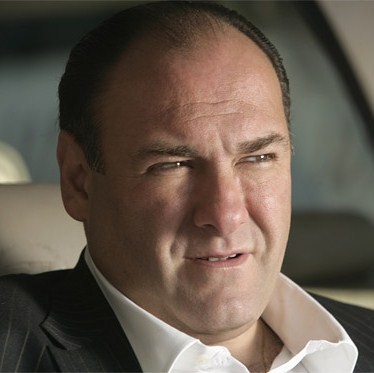 High Quality tony soprano marone Blank Meme Template