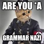 ARE YOU *A GRAMMAR NAZI | made w/ Imgflip meme maker