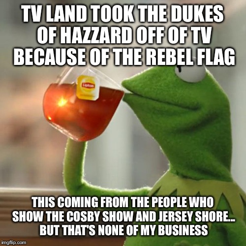 But That's None Of My Business Meme | TV LAND TOOK THE DUKES OF HAZZARD OFF OF TV BECAUSE OF THE REBEL FLAG THIS COMING FROM THE PEOPLE WHO SHOW THE COSBY SHOW AND JERSEY SHORE.. | image tagged in memes,but thats none of my business,kermit the frog | made w/ Imgflip meme maker