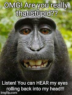 Stupid people | OMG! Are you really that stupid?? Listen! You can HEAR my eyes rolling back into my head!!! | image tagged in stupidity | made w/ Imgflip meme maker