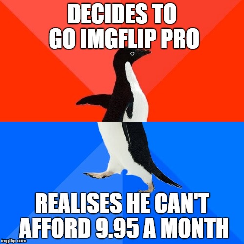 Socially Awesome Awkward Penguin | DECIDES TO GO IMGFLIP PRO REALISES HE CAN'T AFFORD 9.95 A MONTH | image tagged in memes,socially awesome awkward penguin | made w/ Imgflip meme maker