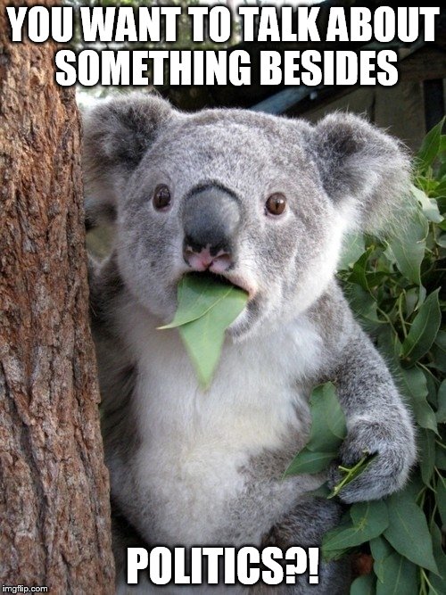 Surprised Koala | YOU WANT TO TALK ABOUT SOMETHING BESIDES POLITICS?! | image tagged in memes,surprised coala | made w/ Imgflip meme maker
