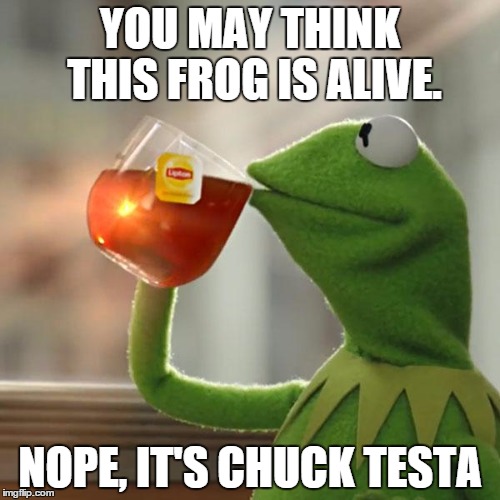 Hey look! A drinking frog! | YOU MAY THINK THIS FROG IS ALIVE. NOPE, IT'S CHUCK TESTA | image tagged in memes,but thats none of my business,kermit the frog | made w/ Imgflip meme maker