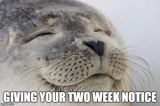 Satisfied Seal Meme | GIVING YOUR TWO WEEK NOTICE | image tagged in memes,satisfied seal,AdviceAnimals | made w/ Imgflip meme maker