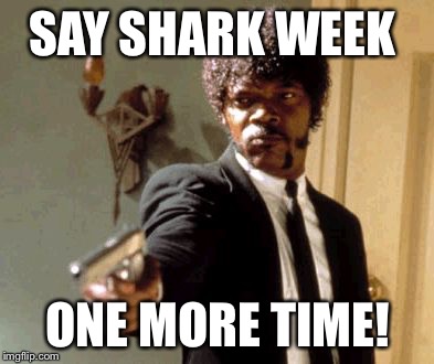Say That Again I Dare You | SAY SHARK WEEK ONE MORE TIME! | image tagged in memes,say that again i dare you | made w/ Imgflip meme maker