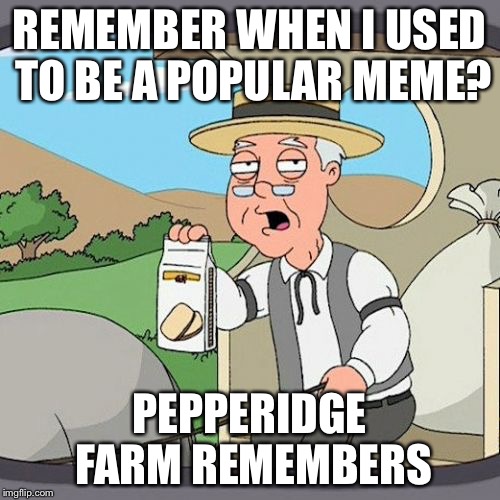 Pepperidge Farm Remembers | REMEMBER WHEN I USED TO BE A POPULAR MEME? PEPPERIDGE FARM REMEMBERS | image tagged in memes,pepperidge farm remembers | made w/ Imgflip meme maker