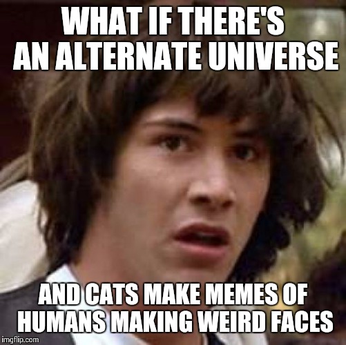 Conspiracy Keanu Meme | WHAT IF THERE'S AN ALTERNATE UNIVERSE AND CATS MAKE MEMES OF HUMANS MAKING WEIRD FACES | image tagged in memes,conspiracy keanu | made w/ Imgflip meme maker