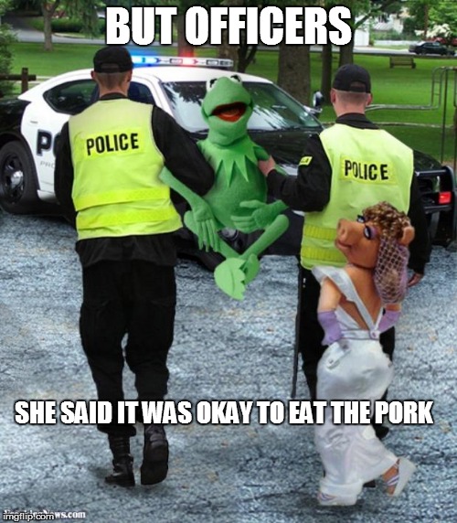 Kermit The Frog Arrsestes | BUT OFFICERS SHE SAID IT WAS OKAY TO EAT THE PORK | image tagged in kermit the frog arrsestes | made w/ Imgflip meme maker