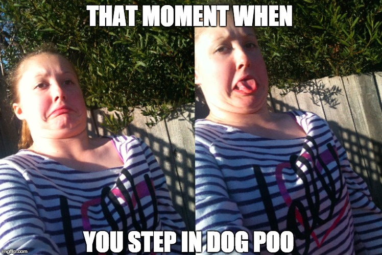 THAT MOMENT WHEN YOU STEP IN DOG POO | image tagged in dog,poop | made w/ Imgflip meme maker