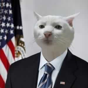 GovernmentBeuraCat Blank Meme Template