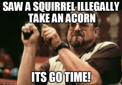 Am I The Only One Around Here | SAW A SQUIRREL ILLEGALLY TAKE AN ACORN ITS GO TIME! | image tagged in memes,am i the only one around here | made w/ Imgflip meme maker