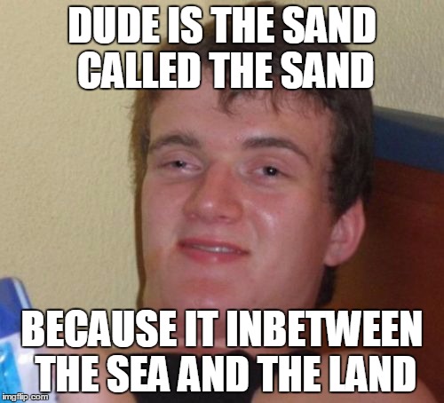10 Guy | DUDE IS THE SAND CALLED THE SAND BECAUSE IT INBETWEEN THE SEA AND THE LAND | image tagged in memes,10 guy | made w/ Imgflip meme maker