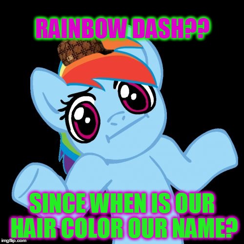 Pony Shrugs | RAINBOW DASH?? SINCE WHEN IS OUR HAIR COLOR OUR NAME? | image tagged in memes,pony shrugs,scumbag | made w/ Imgflip meme maker