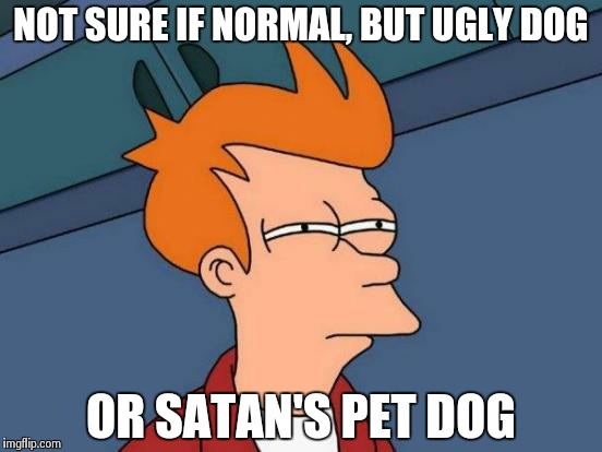 Futurama Fry Meme | NOT SURE IF NORMAL, BUT UGLY DOG OR SATAN'S PET DOG | image tagged in memes,futurama fry | made w/ Imgflip meme maker