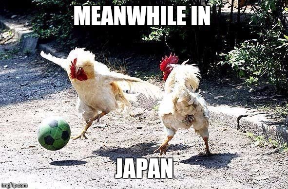 Japan's women soccer | MEANWHILE IN JAPAN | image tagged in cock soccer,world cup,funny meme,success kid | made w/ Imgflip meme maker