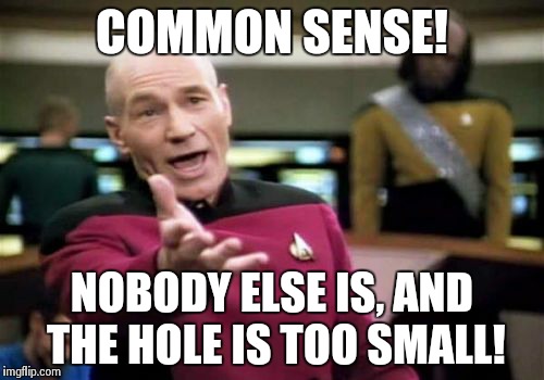 Picard Wtf Meme | COMMON SENSE! NOBODY ELSE IS, AND THE HOLE IS TOO SMALL! | image tagged in memes,picard wtf | made w/ Imgflip meme maker