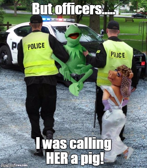 Kermit The Frog Arrsestes | But officers..... I was calling HER a pig! | image tagged in kermit the frog arrsestes | made w/ Imgflip meme maker