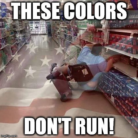 Why can't I hold all this freedom? | THESE COLORS DON'T RUN! | image tagged in murica,'murica,derp | made w/ Imgflip meme maker