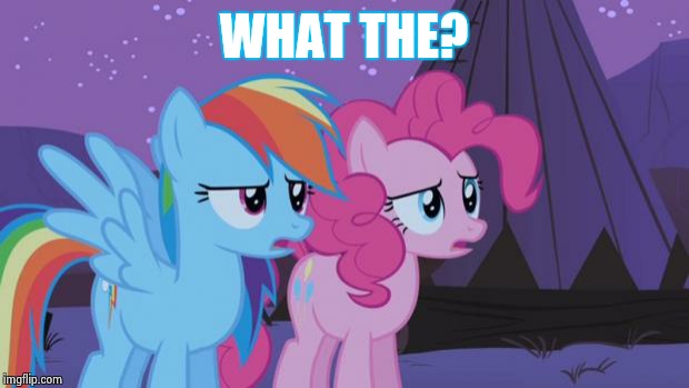 Mlp Pinkie Pie Rainbow Dash | WHAT THE? | image tagged in mlp pinkie pie rainbow dash | made w/ Imgflip meme maker