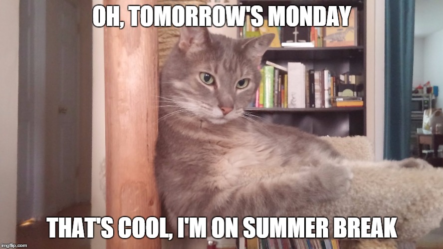 Teachers in the summer | OH, TOMORROW'S MONDAY THAT'S COOL, I'M ON SUMMER BREAK | image tagged in teachers,summer,cats,relax | made w/ Imgflip meme maker