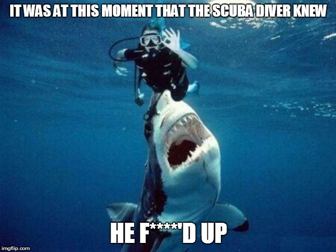 IT WAS AT THIS MOMENT THAT THE SCUBA DIVER KNEW HE F****'D UP | image tagged in memes,shark,meanwhile in | made w/ Imgflip meme maker