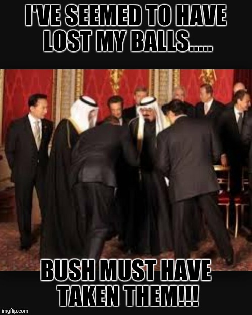 I'VE SEEMED TO HAVE LOST MY BALLS..... BUSH MUST HAVE TAKEN THEM!!! | image tagged in lost balls | made w/ Imgflip meme maker