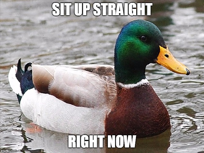 SIT UP STRAIGHT RIGHT NOW | image tagged in AdviceAnimals | made w/ Imgflip meme maker