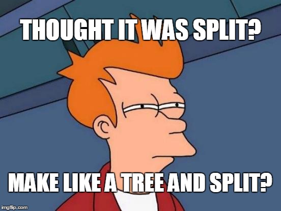 Futurama Fry Meme | THOUGHT IT WAS SPLIT? MAKE LIKE A TREE AND SPLIT? | image tagged in memes,futurama fry | made w/ Imgflip meme maker