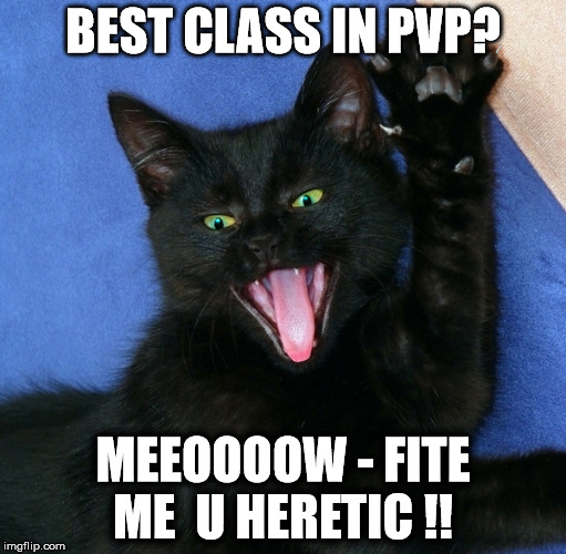 BEST CLASS IN PVP? MEEOOOOW - FITE ME  U HERETIC !! | made w/ Imgflip meme maker