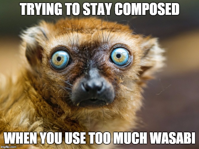 TRYING TO STAY COMPOSED WHEN YOU USE TOO MUCH WASABI | image tagged in lemur | made w/ Imgflip meme maker