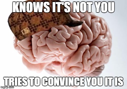 Scumbag Brain Meme | KNOWS IT'S NOT YOU TRIES TO CONVINCE YOU IT IS | image tagged in memes,scumbag brain | made w/ Imgflip meme maker
